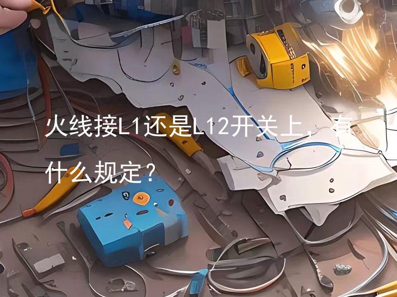 火线接L1还是L12开关上，有什么规定？ 电线接L1还是L12开关上，有什么规定和要求？